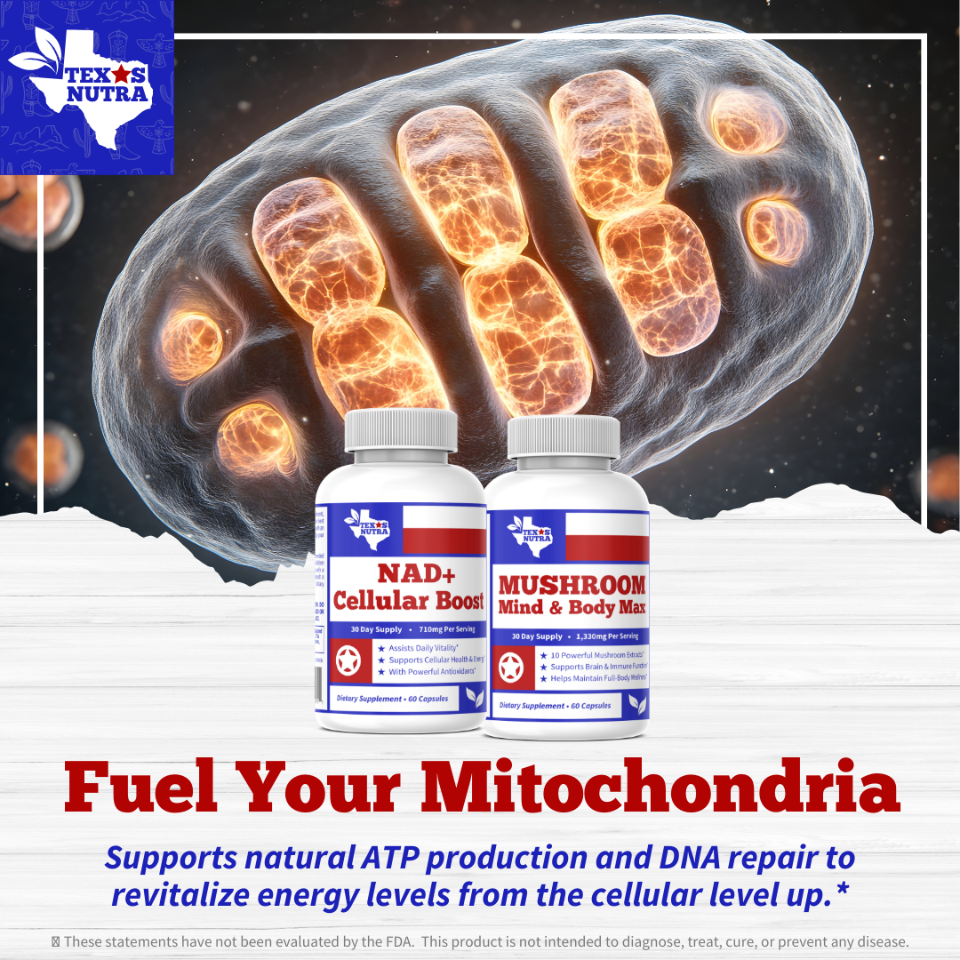 The Age Reversal Stack: Cellular & Cognitive Optimization Kit (NAD+ Precursor + Lion's Mane Complex)